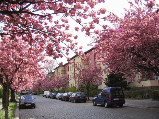 Tolle Wohnung in ruhiger Lage!