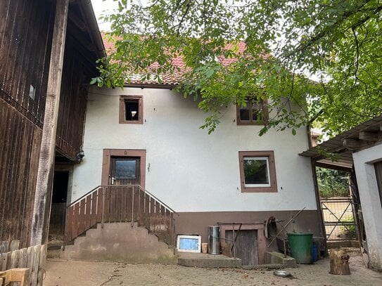 MIT FAMILIE UND TIEREN AUF DEM LAND LEBEN: Gemütliches historisches Bauernhaus mit Ausbaupotenzial