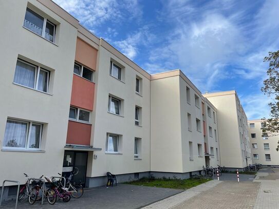 Frisch renovierte 3-Zimmer-Wohnung mit Balkon in zentraler Lage von Winsen (Luhe)