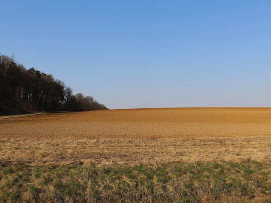 Gelegenheit: Grundstück für altersgerechtes Wohnen, Stockwerkeigentum, ca. 13.000 qm, bei Marburg/Hessen