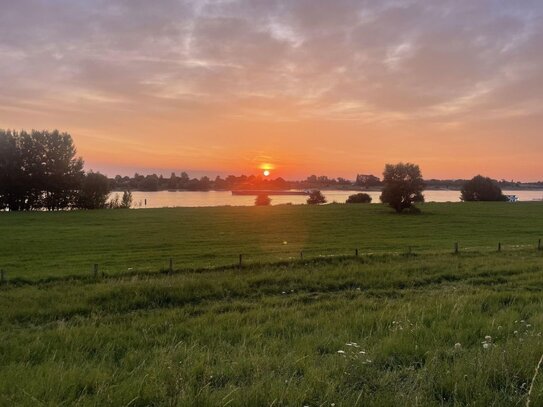 Neubau Doppelhaushälfte mit Rheinblick