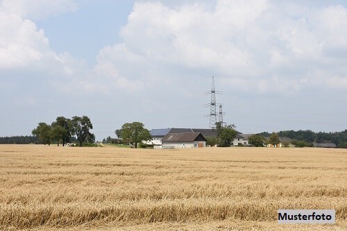 Landwirtschaftliche Hofstelle mit Wohnhaus und Stall