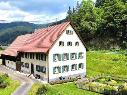 Schwarzwälder Bauernhaus mit großem Grundstück u. Garten im Kleinen Wiesental in Bürchau, bei dem altbekannten Mühlenrad