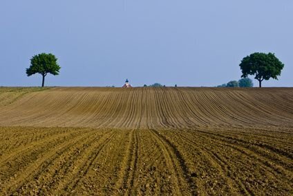 Schönes, Ackerland ca. 8 ha Gemarkung: Tafertsweiler- Eschendorf