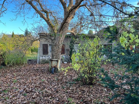 Berlin - Einzelgrundstück am Kaulsdorfer-See