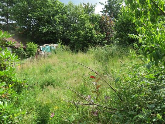 Herrliches Baugrundstück für Ein- bis Zweifamilienhaus-/Ferienhausbebauung in Braunlage