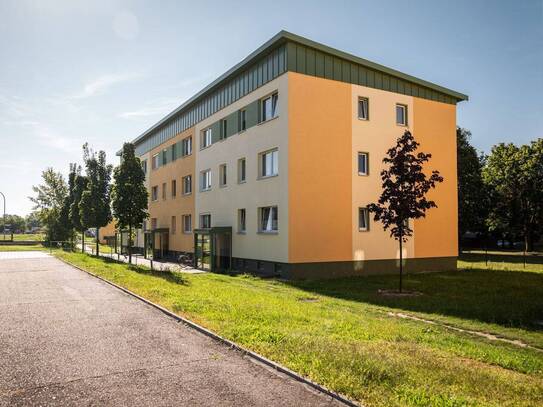Wir sanieren Ihre neue Dreiraumwohnung in zentrale Lage von Wolfen-Nord !