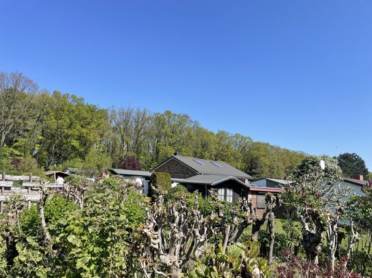 Rarität! Bebaubares Grundstück direkt hinter dem Küstenschutzwald