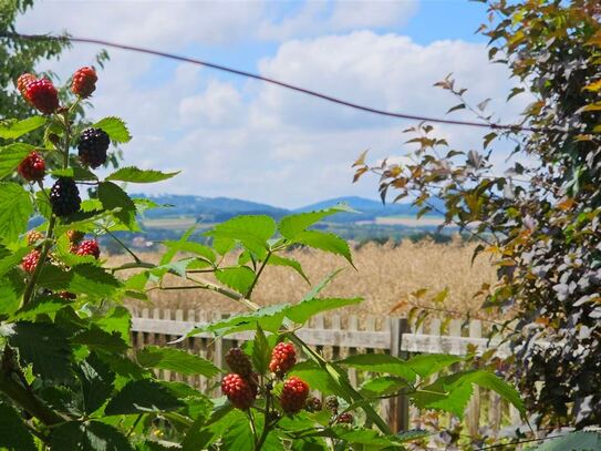 Ideal für Ruhesuchende und Pensionäre: DHH in Löbau-Ebersdorf mit schönem Garten am Ortsrand