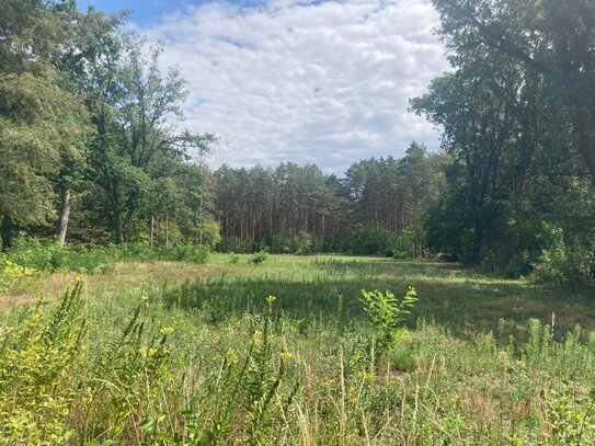 Idyllisch gelegene 2 ha Wald + über 1000 m² Bauerwartungsland warten auf Sie!