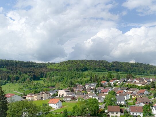 Schöne 2-Zimmer-Wohnung mit Balkon, Stellplatz UND Garage