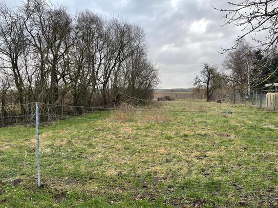 Biendorf OT Uhlenbrook - Grundstück inmitten purer Idylle