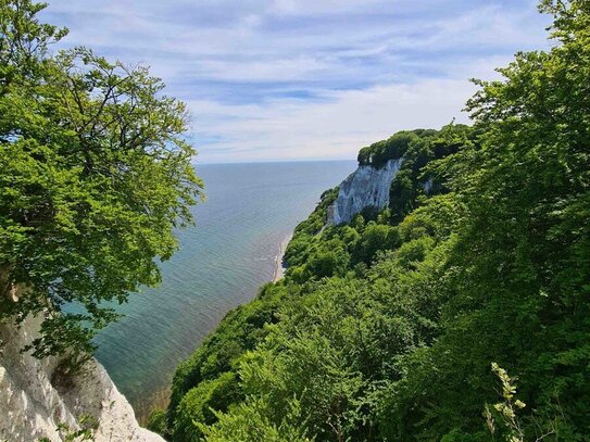 Bauen Sie sich ihr Urlaubsparadies! Einzigartiges Grundstück in Lohme auf Rügen!