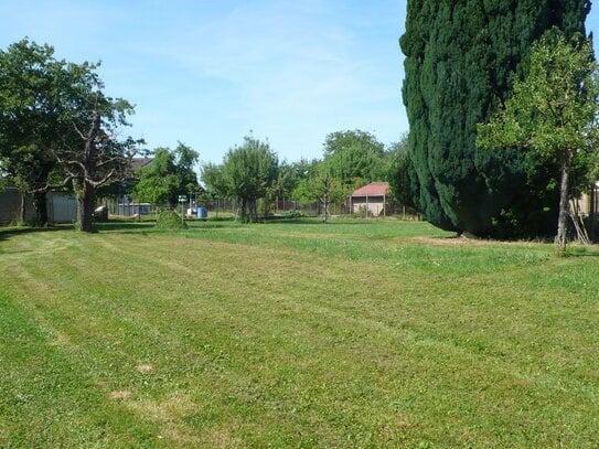 Neubau-Doppelhaushälfte in ruhiger Lage