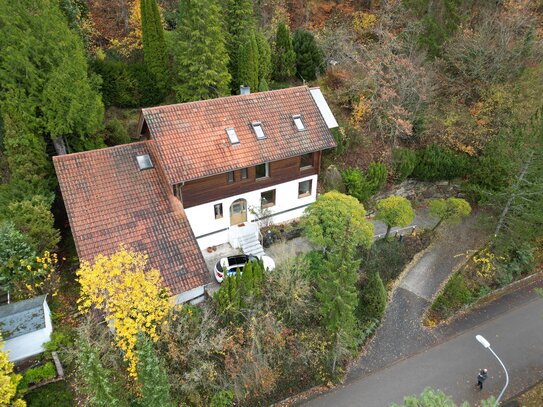 Ein Liebe fürs Leben. Familienwohnhaus auf großem, grünen Grundstück mit neuwertiger Heizung und beeindruckender Künstl…