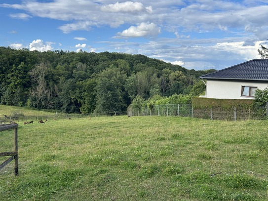 Baugrundstück in Top Lage von Wachtberg-Pech!