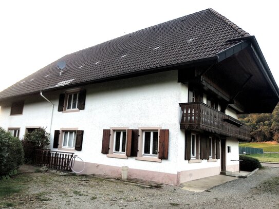 Schwarzwaldhaus (Sanierungsobjekt) mit weiterem Baufenster, ca. 1.500 m²-Grundstück, im vorderen Münstertal, viels. Inf…