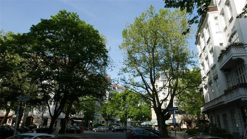 Charlottenburg: Bestlage : Jugendstil-Etage mit Lift und 2 Loggien ! - Photo 1