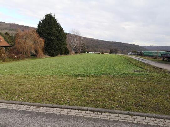 Ein Bungalow, der eins mit der Natur ist - Ihr Bungalow 100 Novo mit überdachter Terrasse in Weißenborn