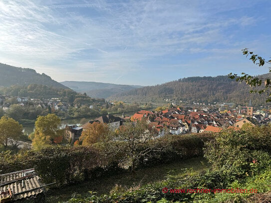 NEUES KAUFANGEBOT! EBERBACH: Bauplatz in TOP-Lage ...