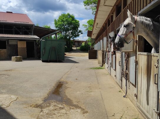 Kleiner aktiver Pferdebetrieb mit Wohnmöglichkeit, Stallungen und Reithalle im Großraum Sigmaringen