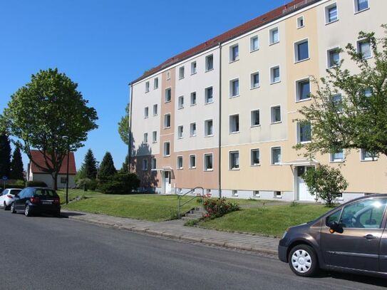 3-Raum-Wohnung in der Nähe des Birkenwäldchens!