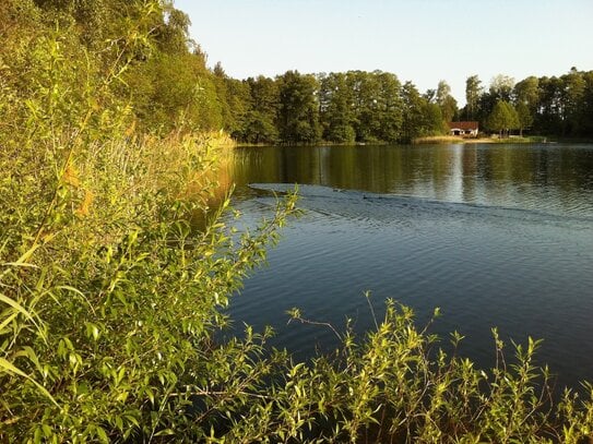 Idyllisches Waldgrundstück am Heidesee