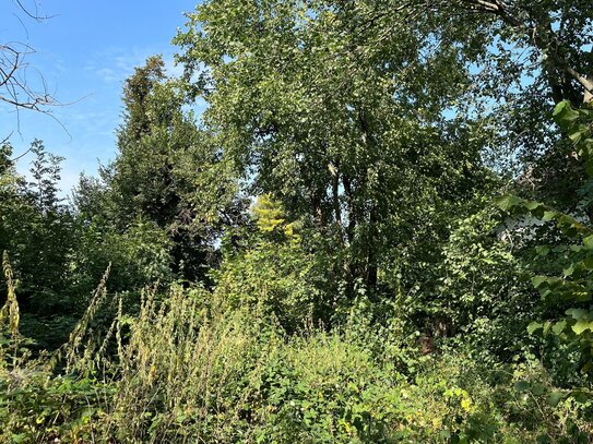 Traumgrundstück mit Blick ins Grüne in Eiche