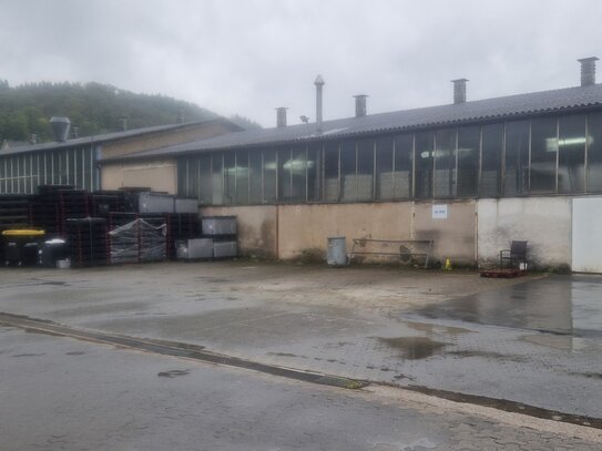 Diverse Hallen mit Büro's sowie ca. 3000 m² Außenfläche in bester Lage von Haiger zu vermieten !!!!