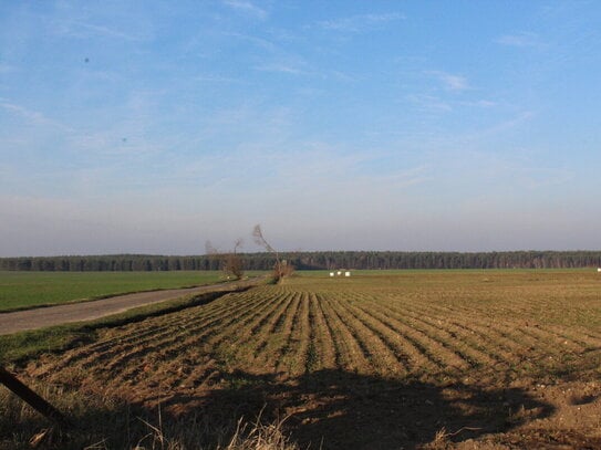 Landwirtschaftliche Ackerflächen in Raguhn 29.916m²