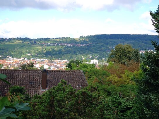 DHH am Hang mit herrlichem Blick nach Lörrach, Tüllingen, Basel - provisionsfrei