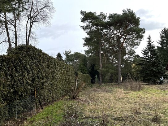 Neu: großes Einzelgrundstück in ruhiger Seitenstraße von Mahlsdorf-Süd