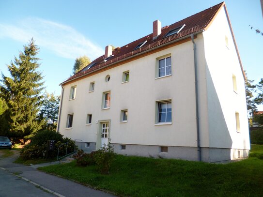 2 Zimmer, Küche, Tageslichtbad in Bad Düben, An der Obermühle 4