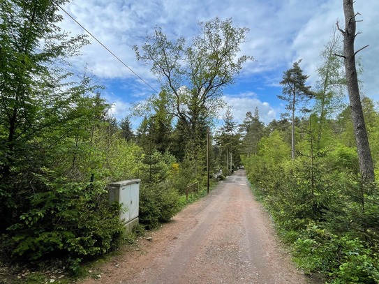 Großzügiges Grundstück in Waldrandlage