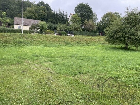 Großes Wohnbaugrundstück in Weigendorf - 1.200 m² für Ihr Traumhaus inkl. Scheune