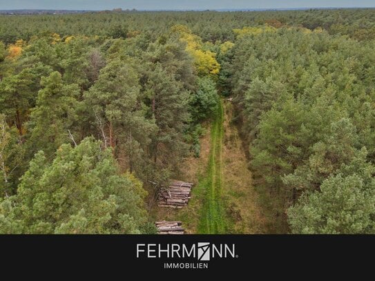 Zum Kauf - kleine Waldfläche für den Eigenbedarf in Sichau