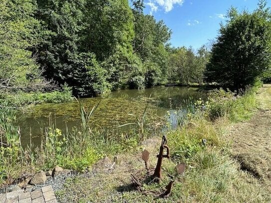 5 wunderschöne Natur/ Angelweiher mit einer ausgezeichnete Wasserqualität und unbegrenztem Wassernutzungsrecht