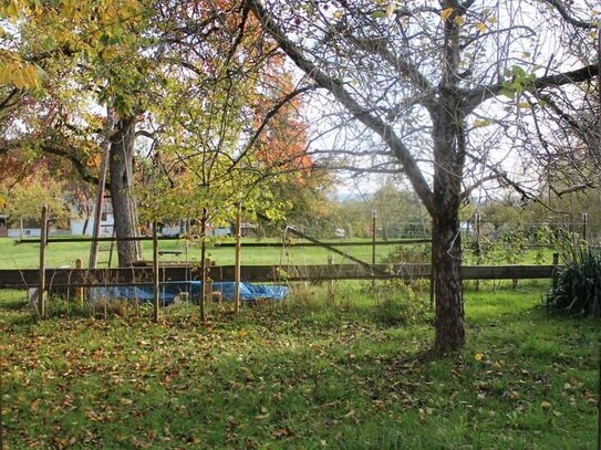 Doppeltes Glück: Zweifamilienhaus mit Traumgrundstück - Wohnen im Grünen!