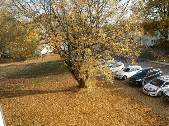 Sonnige 2 Zimmer-Wohnung in Campusnähe