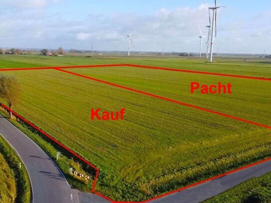 2,50 ha hochwertiges Ackerland in Wöhrden im Bieterverfahren zu verkaufen und 3,37 ha zu verpachten