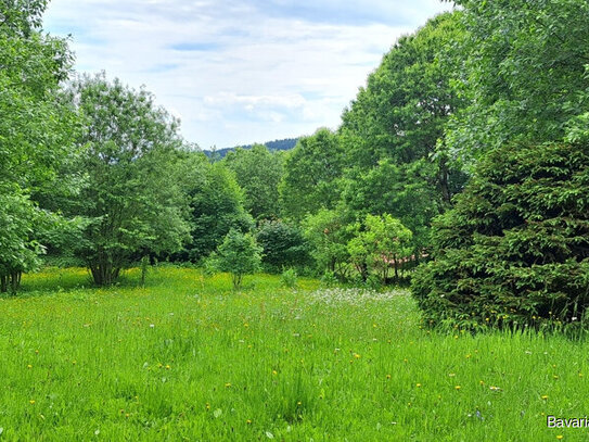 Herrliche Aussichtslage! 2.400 qm Baugrund mit Altbestand am Südhang von Sankt Englmar