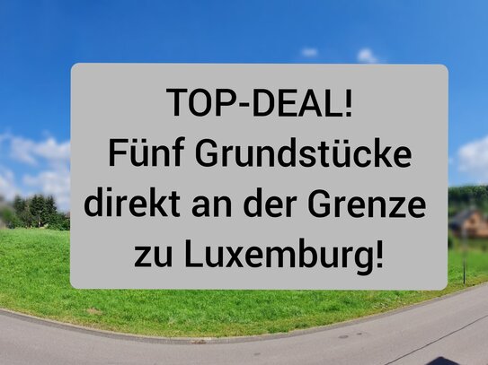 TOP DEAL ! fünf Baugrundstücke in Palzem (OT)