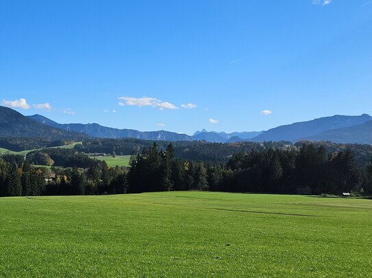 Stilvoll renoviertes Bauernanwesen mit ca 7 ha Grund - zw Salzburg und München - 15km zum Chiemsee