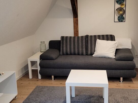 1-Zimmerwohnung mit Wlan, TV, Doppelbett, Küche, Dusche/Wc, Waschmaschine