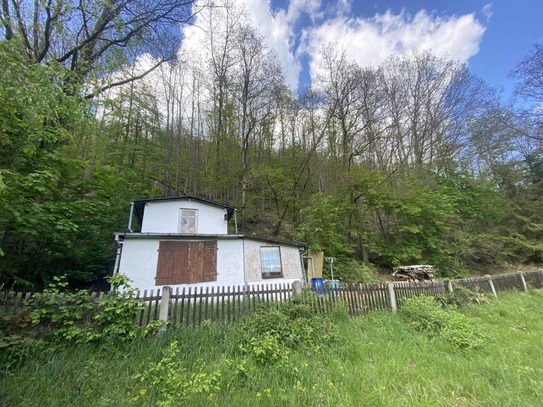 Wald mit Gartenhaus im Gemeindetal Schwarza