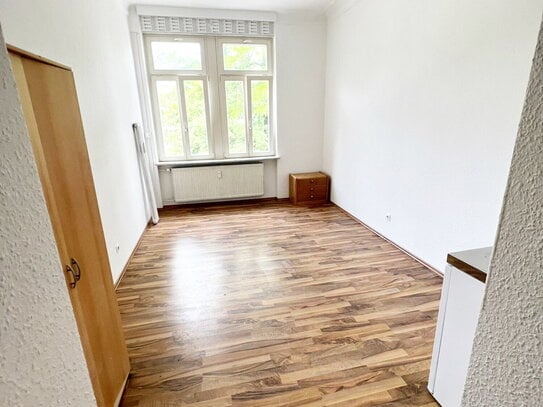 Frisch renoviertes 1 Zimmer Apartment, 19qm in Ludwigshafen zu vermieten