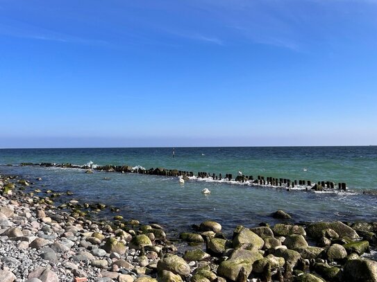 Direkt am Meer, unverbaubarer Blick auf die Ostsee -bezugsfrei-