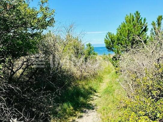 Naturschatz an der Ostsee: Geschütztes Biotop als Investitionsjuwel?