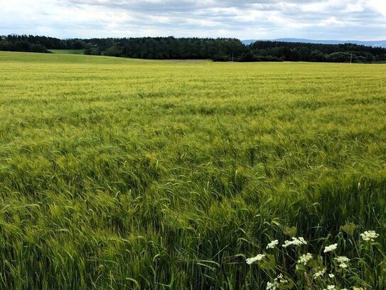 **Ackerland mit Weitblick und Entwicklungspotenzial**