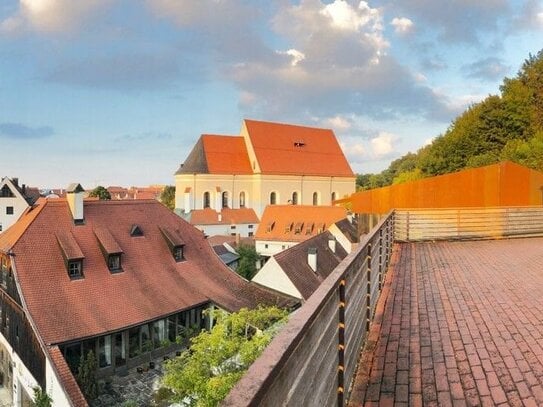 Schmuckstück, 2 Zi. Stadtwohnung mit 68 qm Dachterrasse